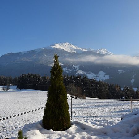 Apartment Gmiatlich Wohnen Hollersbach im Pinzgau Eksteriør billede