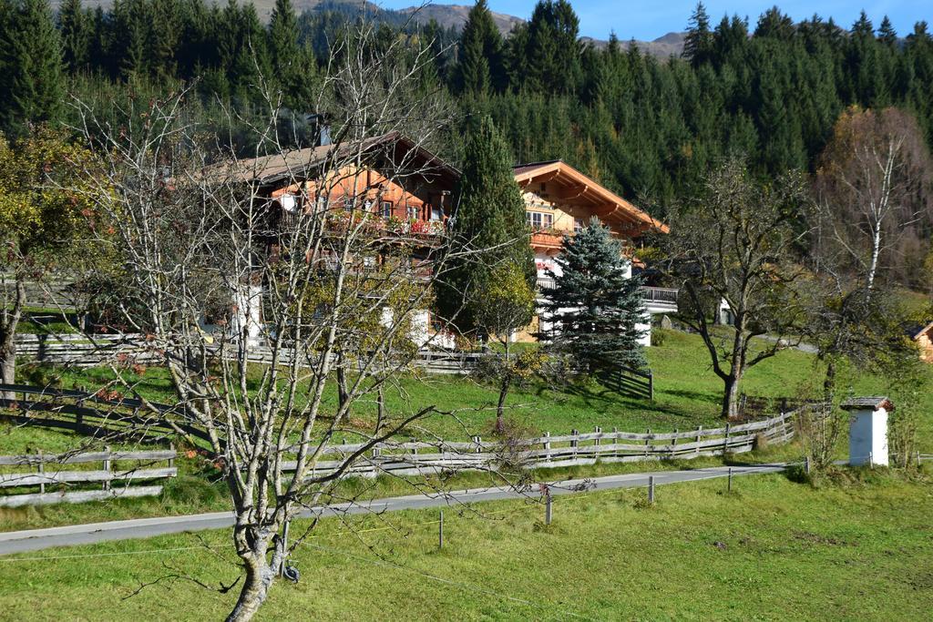 Apartment Gmiatlich Wohnen Hollersbach im Pinzgau Eksteriør billede